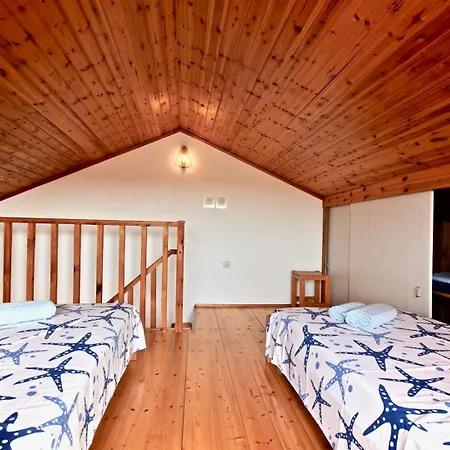 Beautiful Istrian House With Big Backyard * Valtura